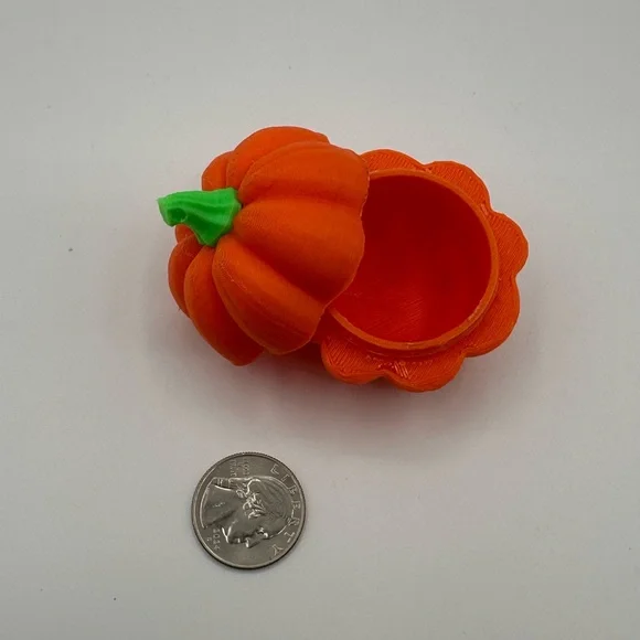 #1 LIMITED EDITION FLASH SALE Pumpkin “Mystery Box” (What’s in the Box?) - Picture 2 of 6